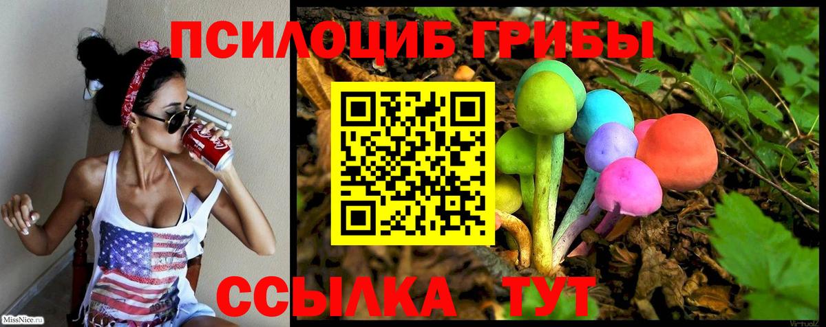хочу наркоту  Псилоцибиновые грибы прущие грибы  Вход с VPN  Кашира  Галлюциногенные грибы мухоморы 